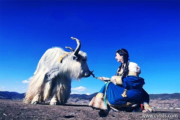 珠海到西藏旅游團(tuán)多少錢(qián)