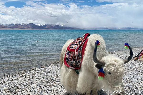 西藏一周旅游準備什么用品